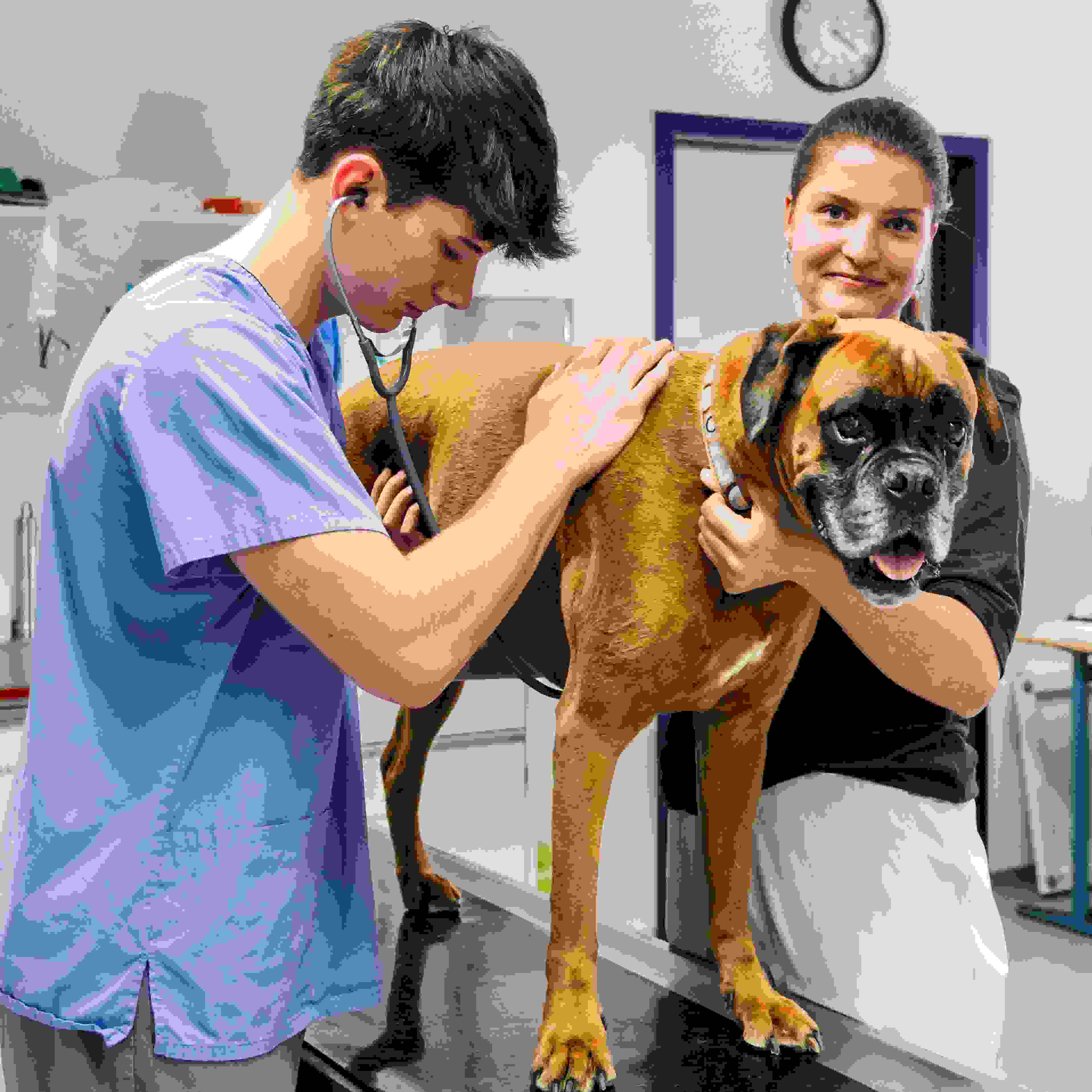 be-Med_TPA_2025-10