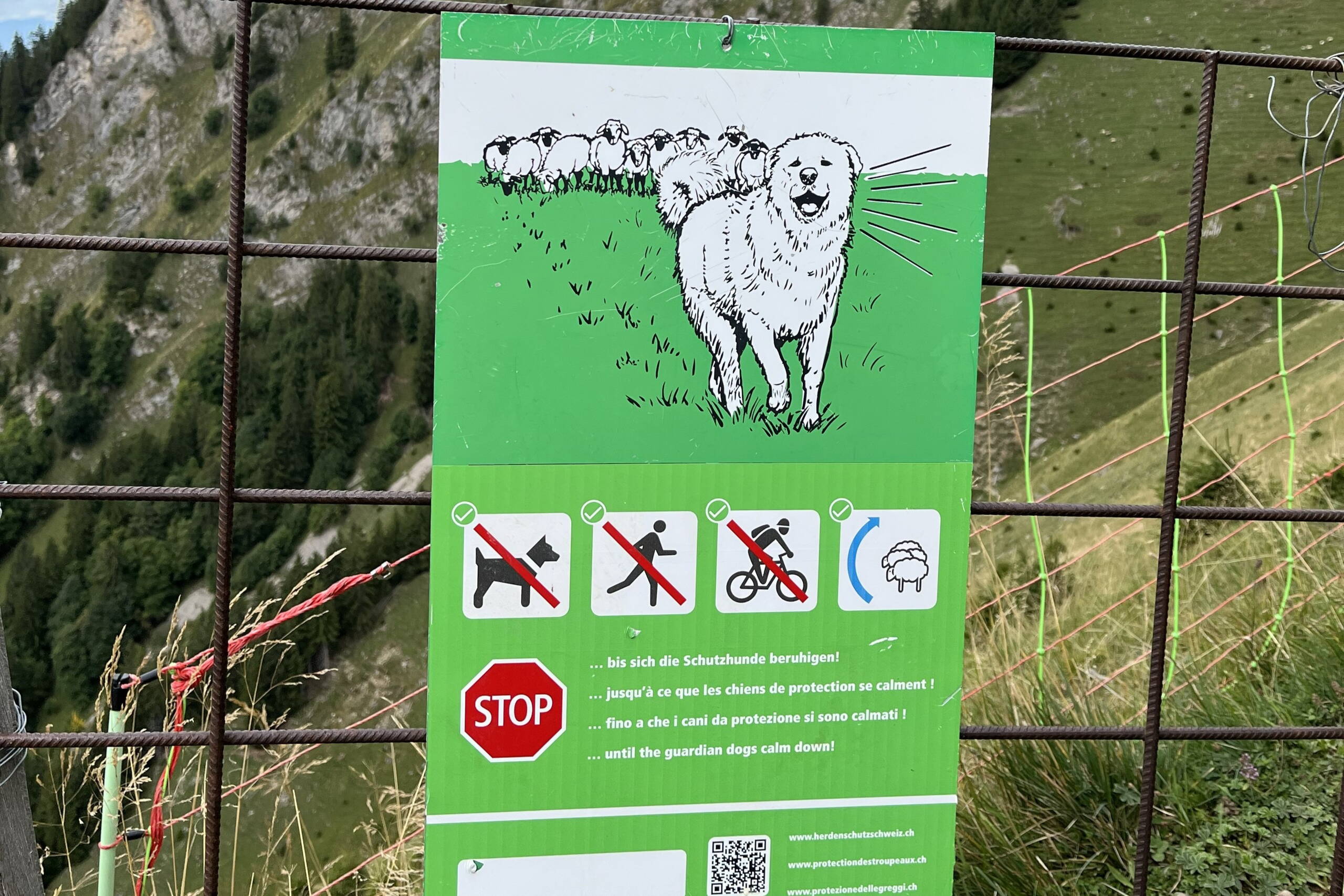Zoom: Fotos vom Besuch der Alp. Bild: Jasmin Niklaus