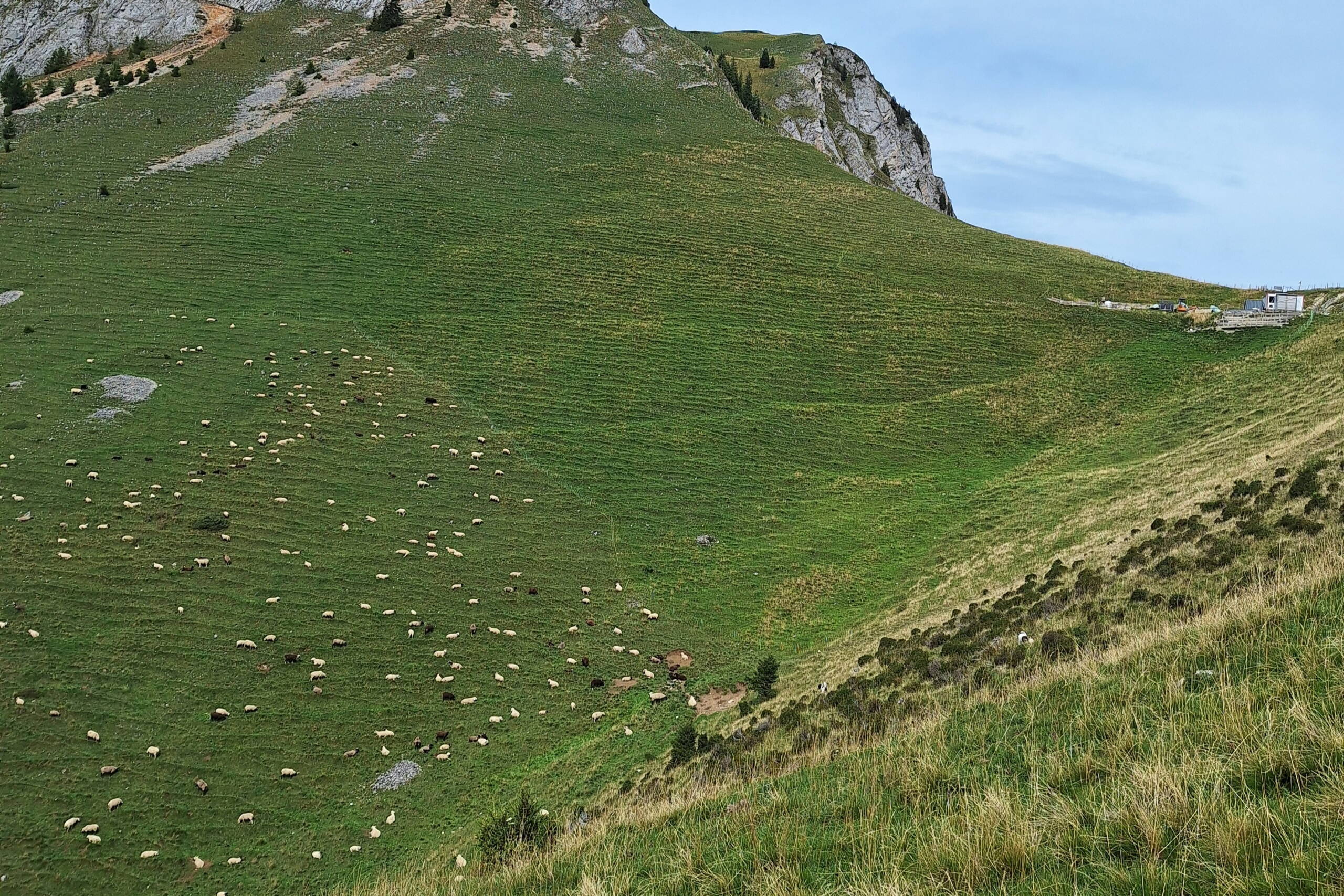 Zoom: Fotos vom Besuch der Alp. Bild: Jasmin Niklaus
