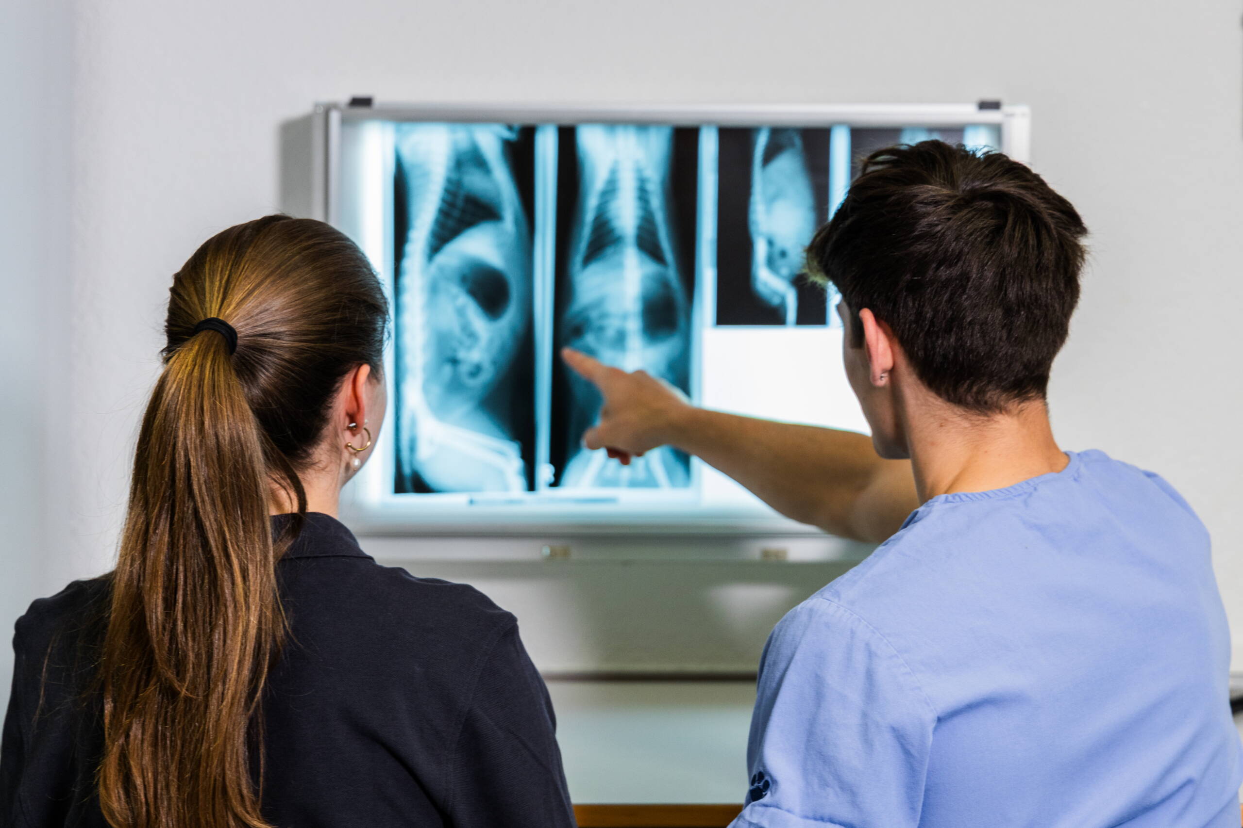 medizinische Praxisassistentin im Labor, zu sehen beim Abfüllen eines Glasröhrchen